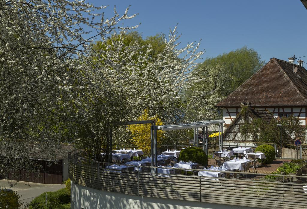 Pilgerhof Und Rebmannshof 4* Uhldingen-Mühlhofen